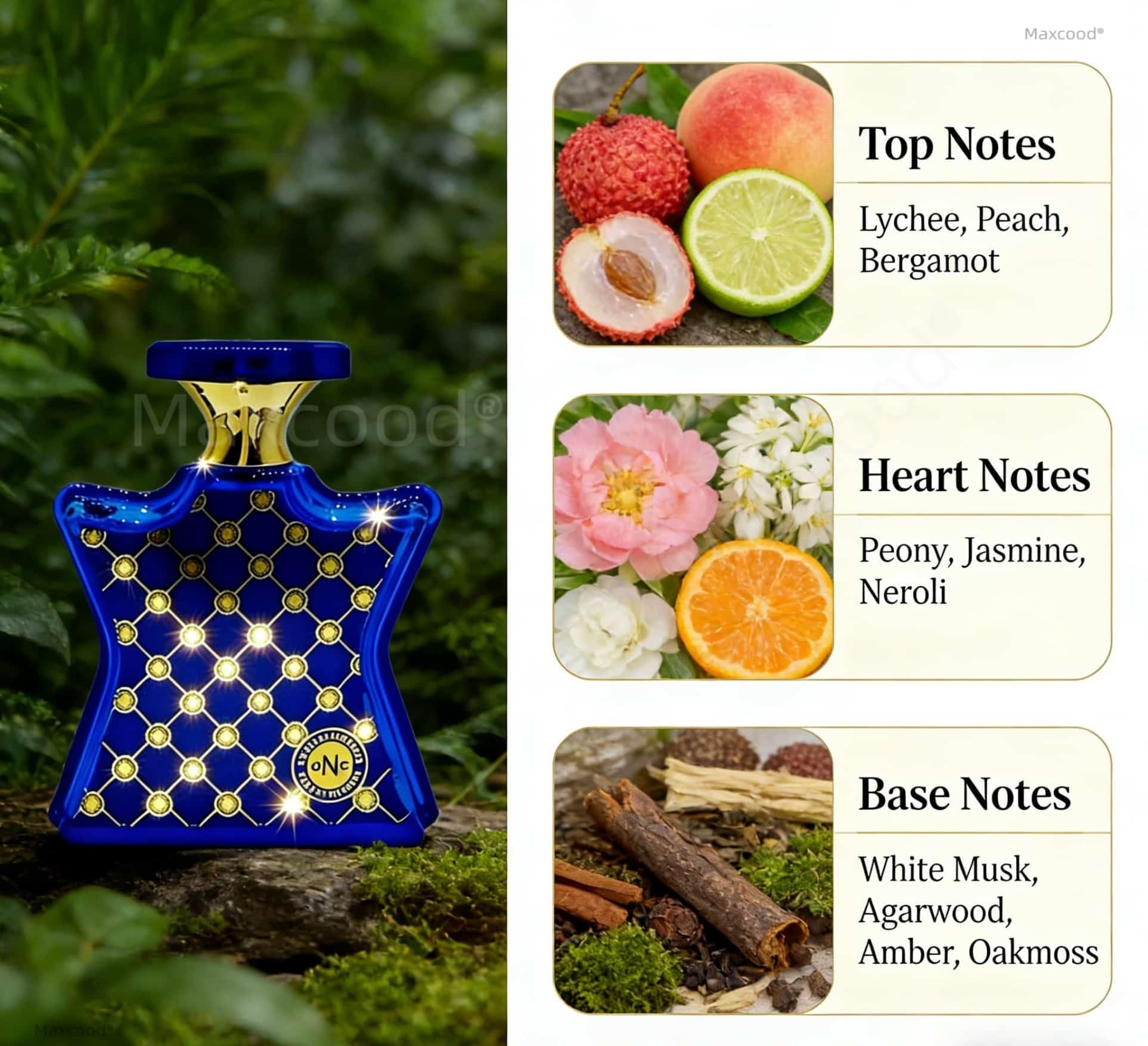 Citrus and Floral Perfume Long - Perfume Fragrance For Girls recension och pris