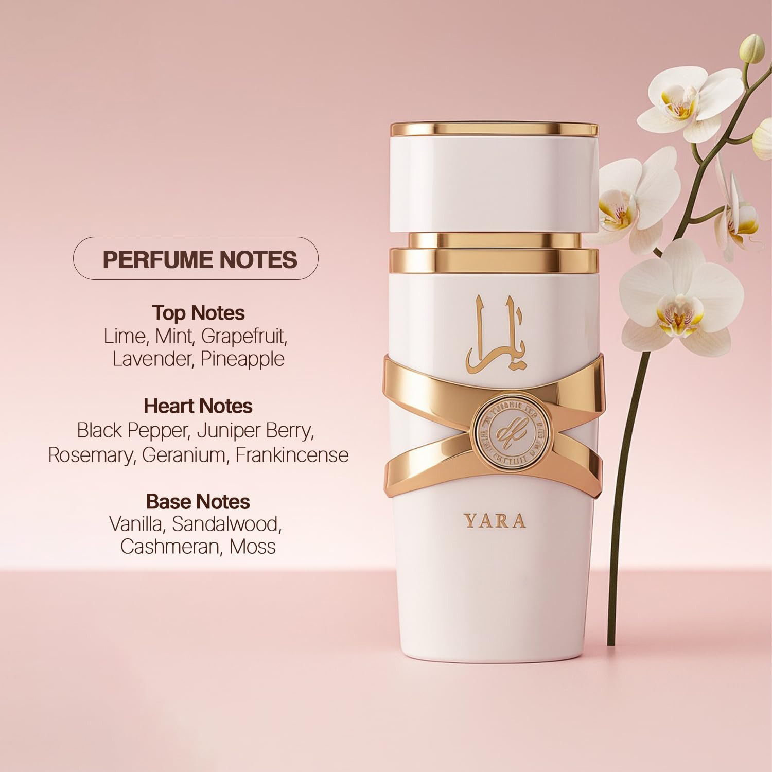Yara Moi - 3.4 oz Floral, Frui - Yara Perfume Fragrance recension och pris